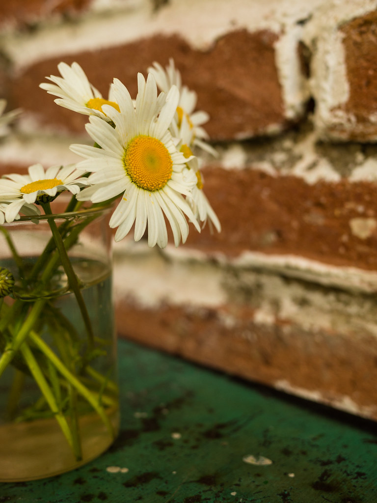 Bricks and flowers. Tbilisi stefanfriessner Flickr