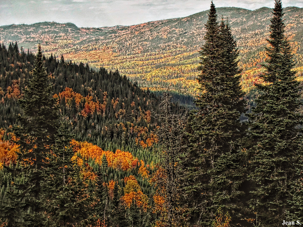 Parc des Laurentides, Québec septembre 2014. Jean S. Flickr