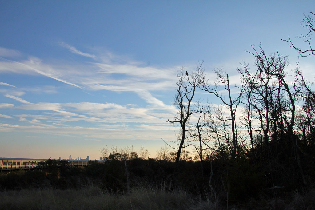 Edwin B. Forsythe National Wildlife Refuge Absecon, NJ Christine