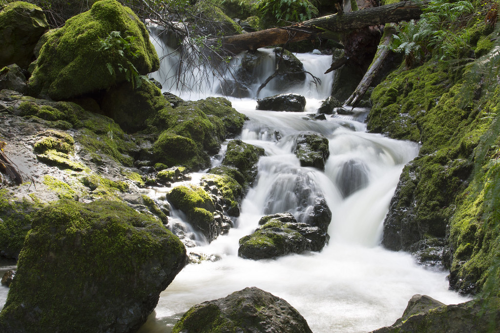 Cataract Falls Bolinas, CA Ilya Faynshteyn Flickr
