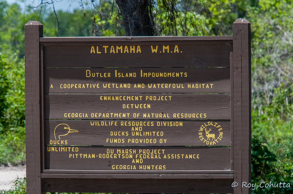 Altamaha WMA Signage Great location for birding on the Geo… Roy