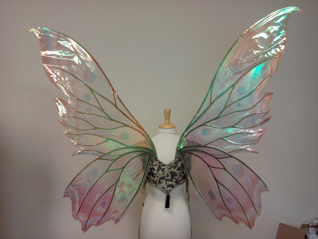 IMG_20111008_174404 Giant Clarion fairy wings, made & phot… Flickr