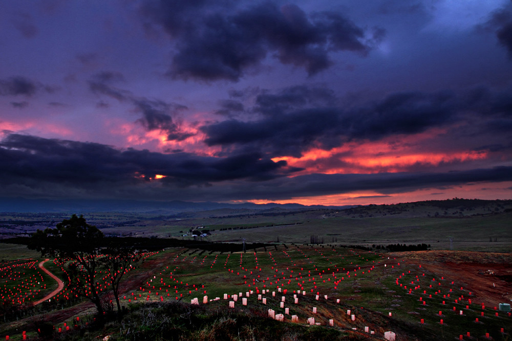 Dairy Farmers Hill Canberra Arboretum Sunset on Dairy Fa… Flickr