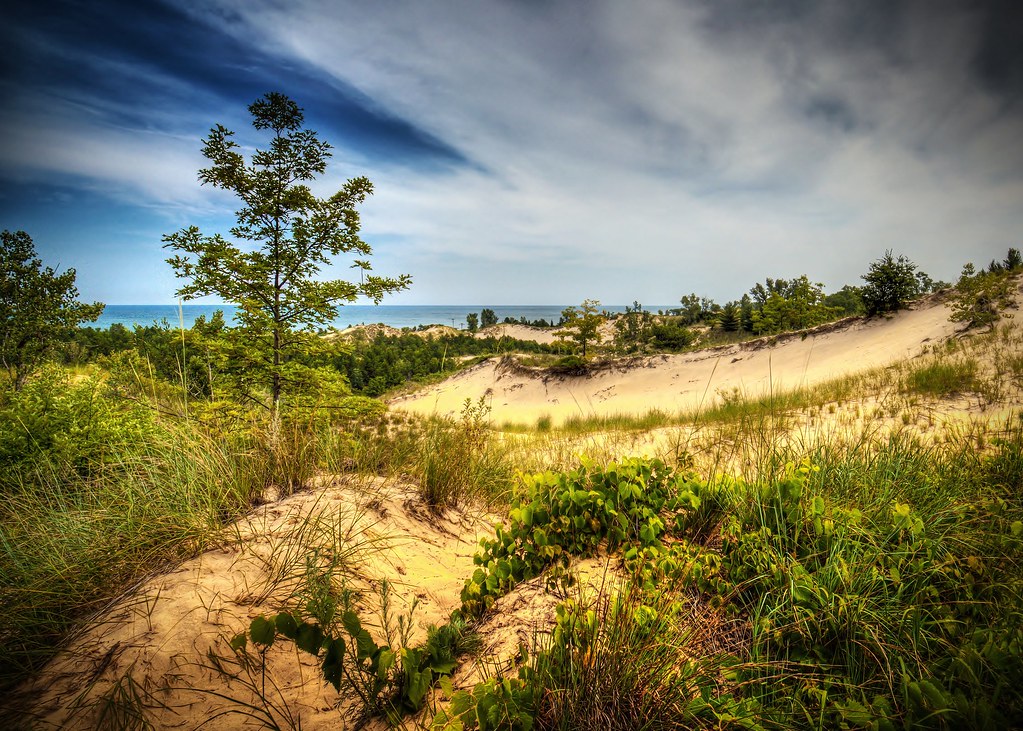 Indiana Dunes State Park Indiana Dunes State Park Flickr