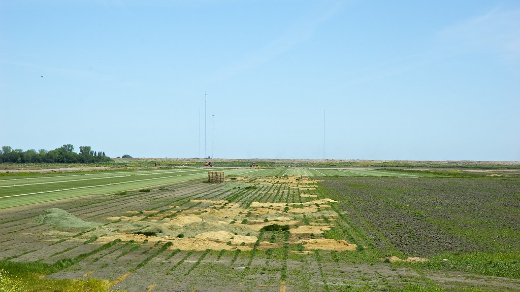 DSC_0052a14 Somewhere along Glasscock Road in San Joaquin… Flickr