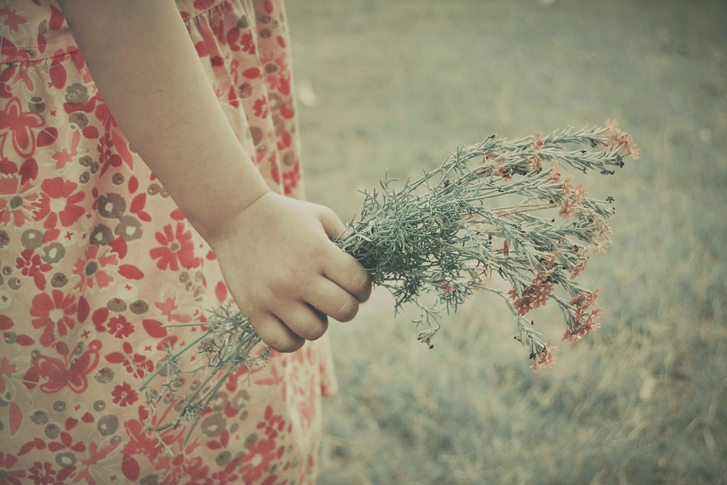 Plucking some flowers. Ayeshadows Flickr