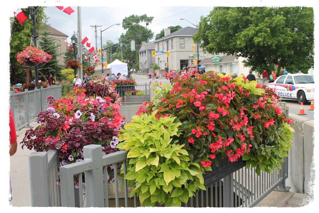 Downtown Newmarket Canada Day reinap Flickr