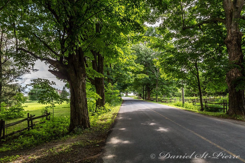L'Avenir, Qc Daniel StPierre Flickr
