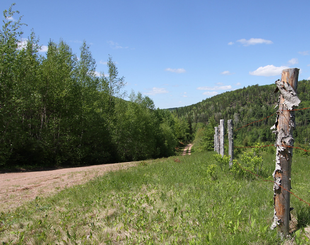 Prosser Brook cemetery road This is where my g.g.g. grandf… Flickr