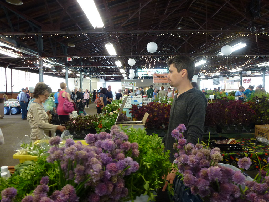 Maple Creek Farm Passionate Organic Farming Home