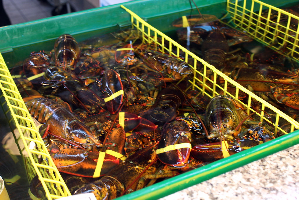 MDI Thurston's Lobster Pound Thurston's Lobster Pound, lo… Flickr