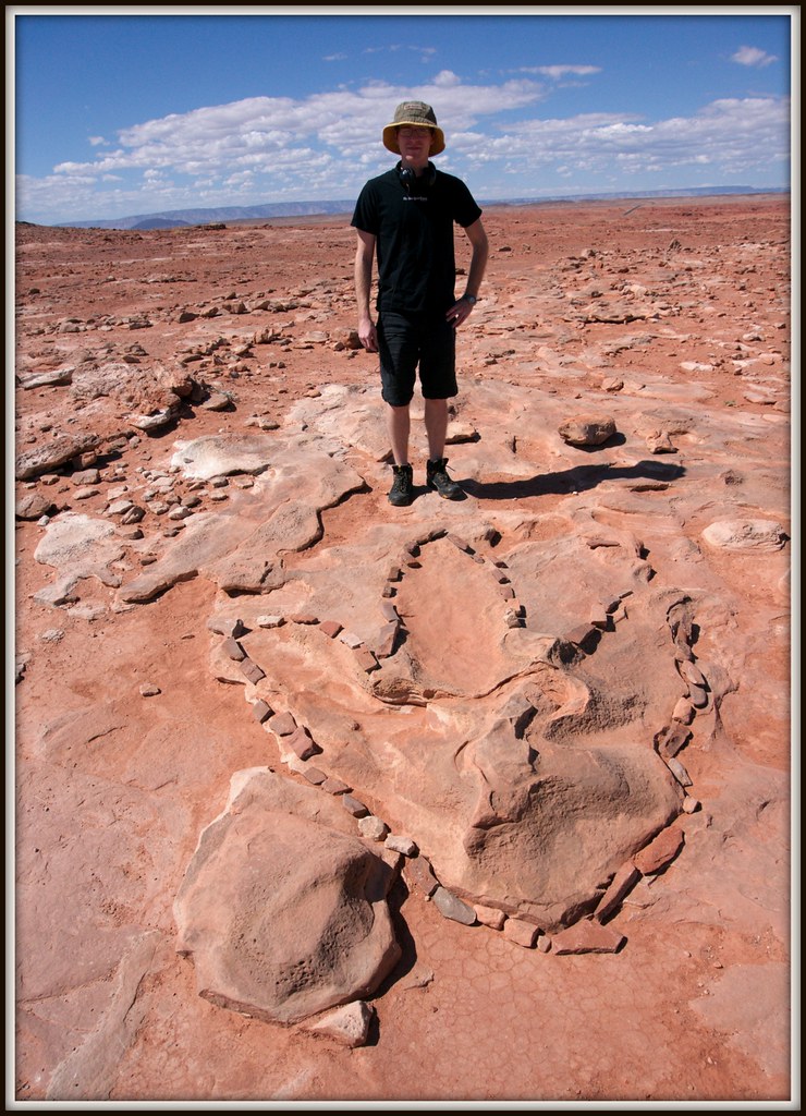 2013 Arizona, Dinosaur track TREX track Steven Key Flickr