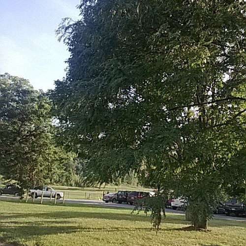 first football game mahanoyarea vs panthervalley gold… Flickr