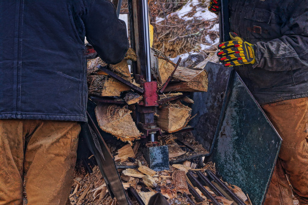 Wood Firewood Identification Tutorial And Pictures
