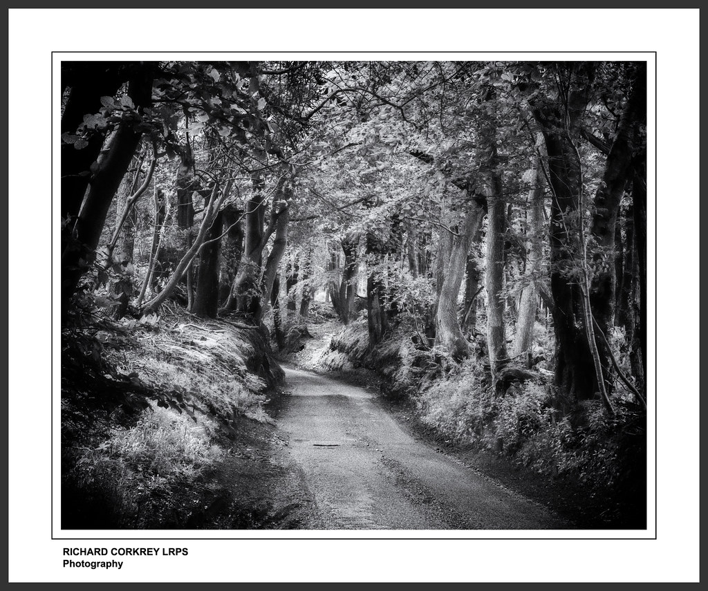 Tennyson's Lane Running from Haslemere, Surrey, into West … Flickr