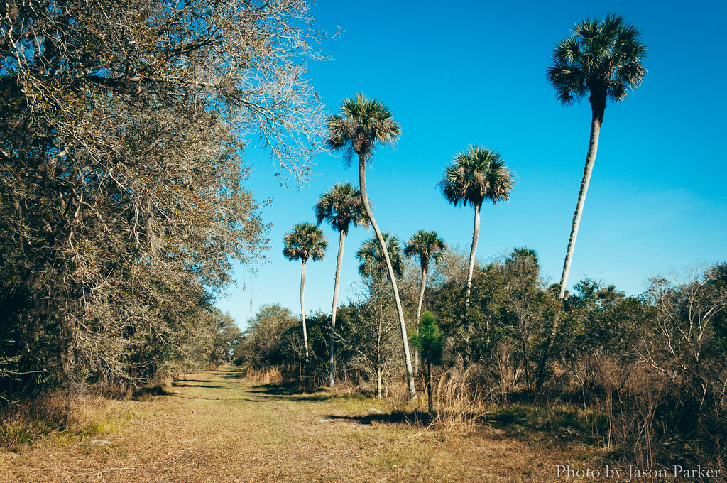 Elevation of Brumley Rd, Chuluota, FL, USA Topographic Map Altitude Map