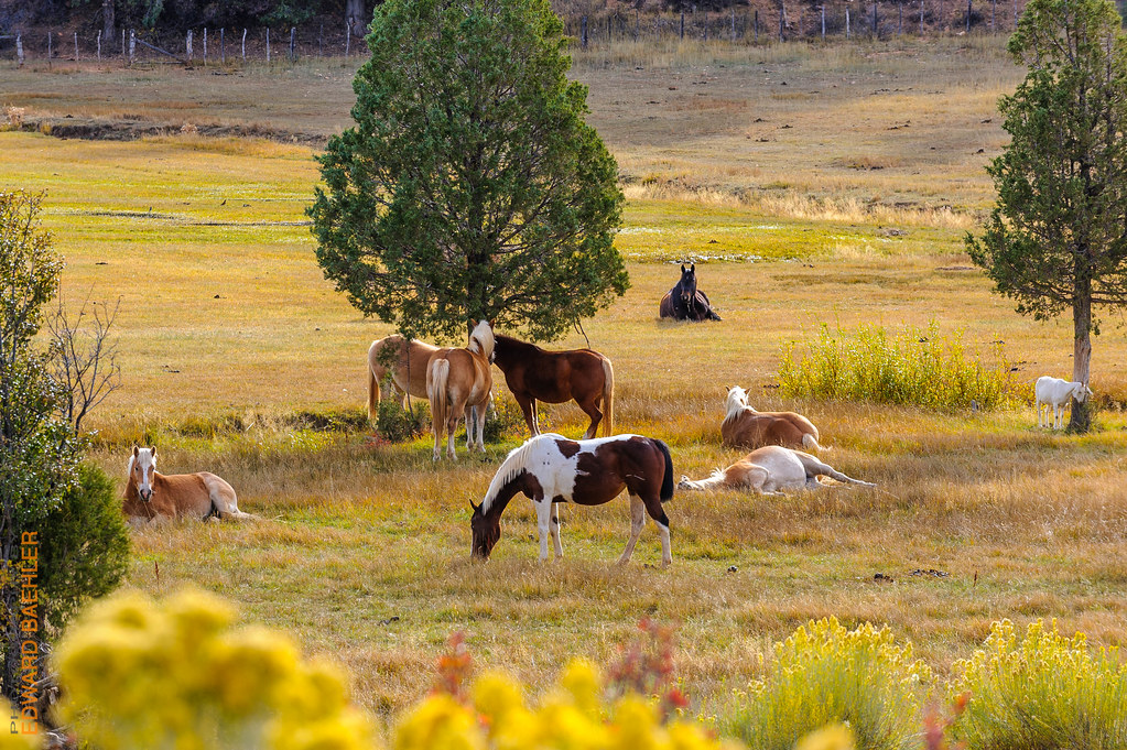 Elevation of N Oak Rdg Rd, Alton, UT, USA Topographic Map Altitude Map
