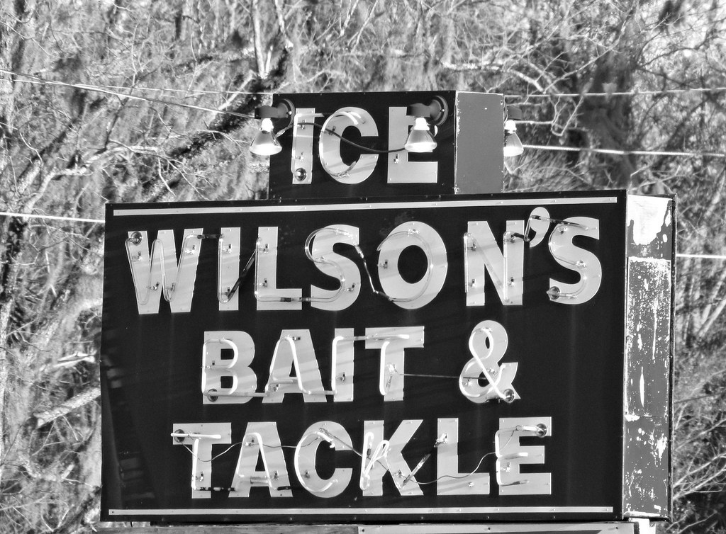 Bait shop neon It isn't often that a business selling bait… Flickr