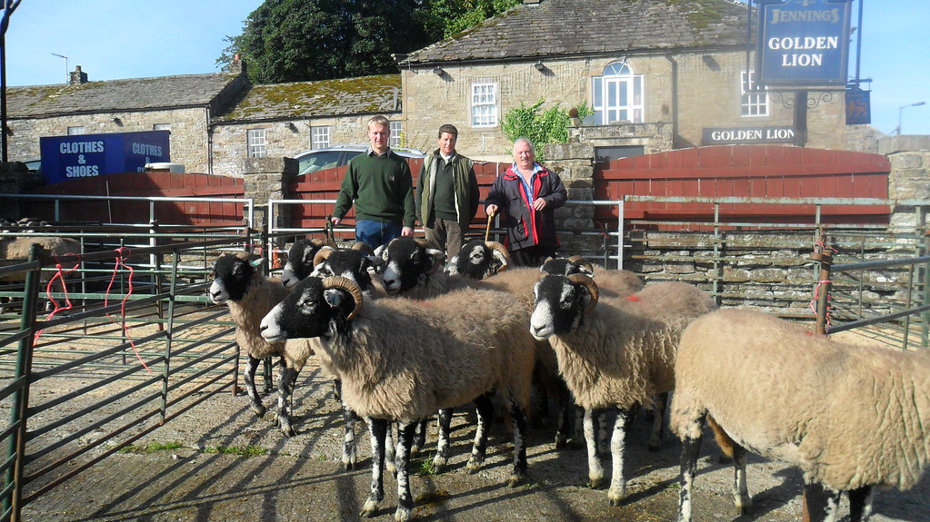 Barnard Castle Mart Sales at Sharon Plummer blog