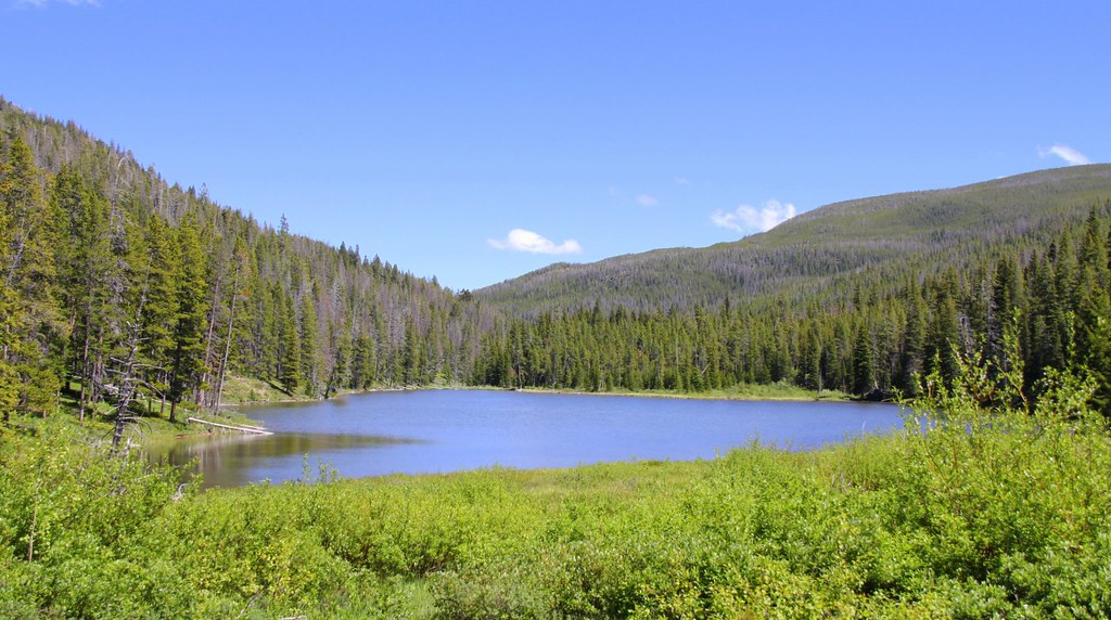 b Lake A scenic view of b Lake in the Scapegoat Wild… Flickr