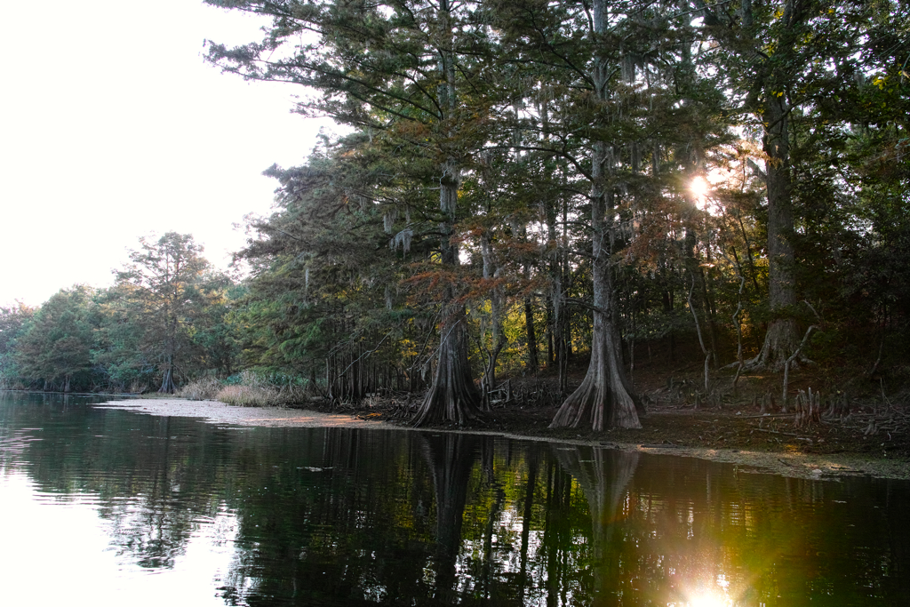 Lake Chicot Louisiana Keyfer Flickr