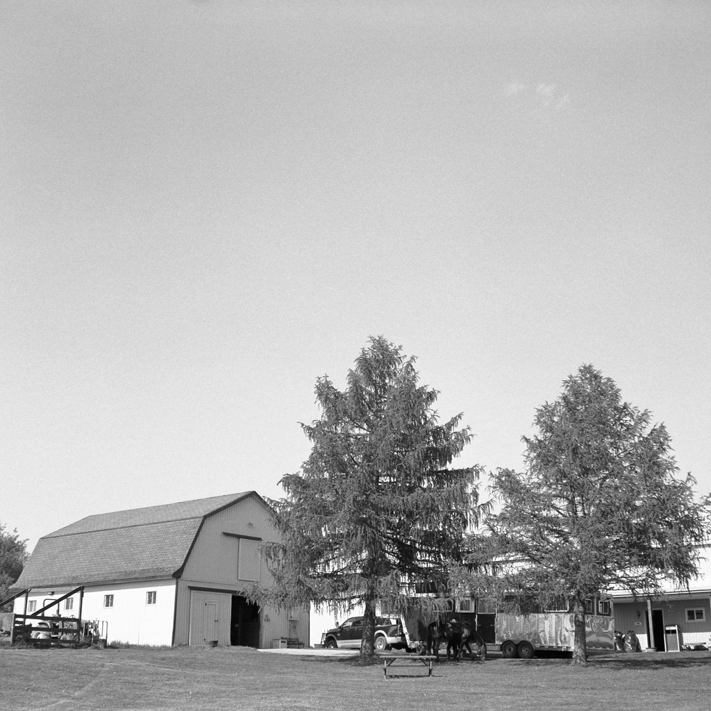Raynham Stables, Nobleton, Ontario Zeiss Ikon Nettar 515/1… Flickr