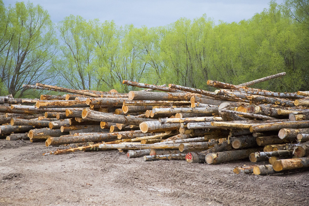 logs ET5A3065 Jensen Lumber Co Inc in Ovid, Idaho. Intermountain