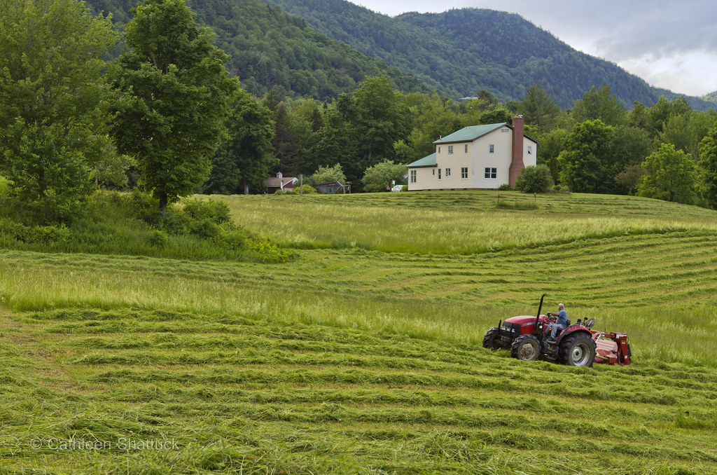 Vermont Homestead canopic Flickr
