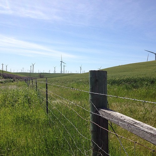 Wind farm outside of Rio Vista, in the Montezuma Hills. Flickr