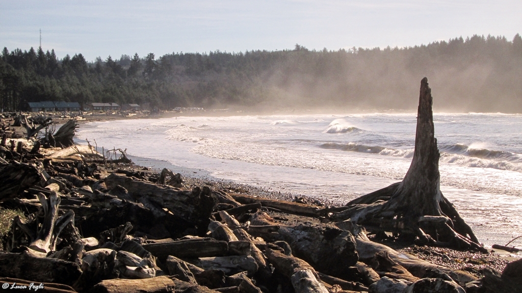 La Push First Beach Place La Push Washington (U.S.A.) D… Flickr