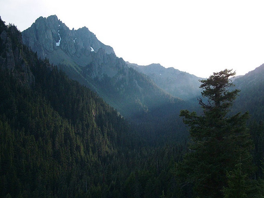 Buckhorn Mountain, Olympic National Forest View of Buckhor… Flickr