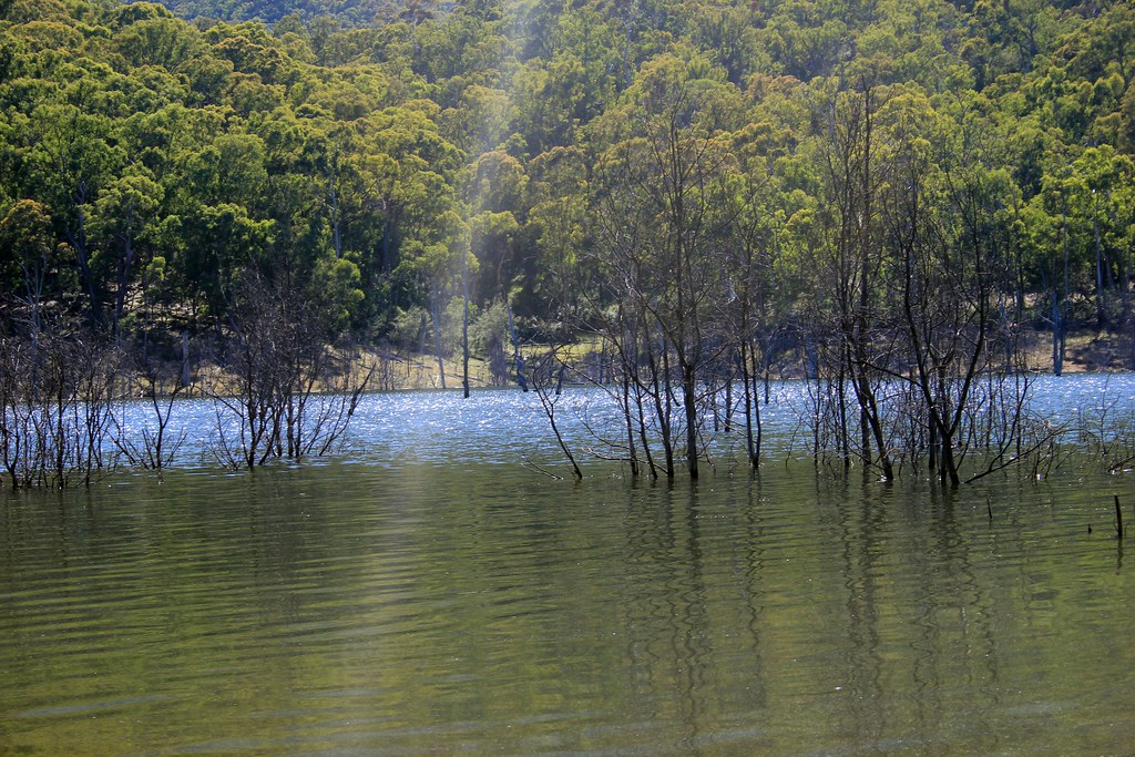 Lake Eildon Jerusalem Creek. Visible Procrastinations Flickr