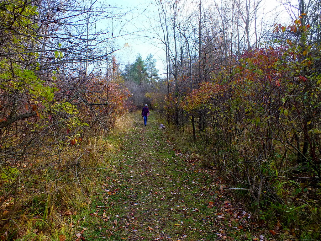 Paw Paw Park Jonny Keen Flickr