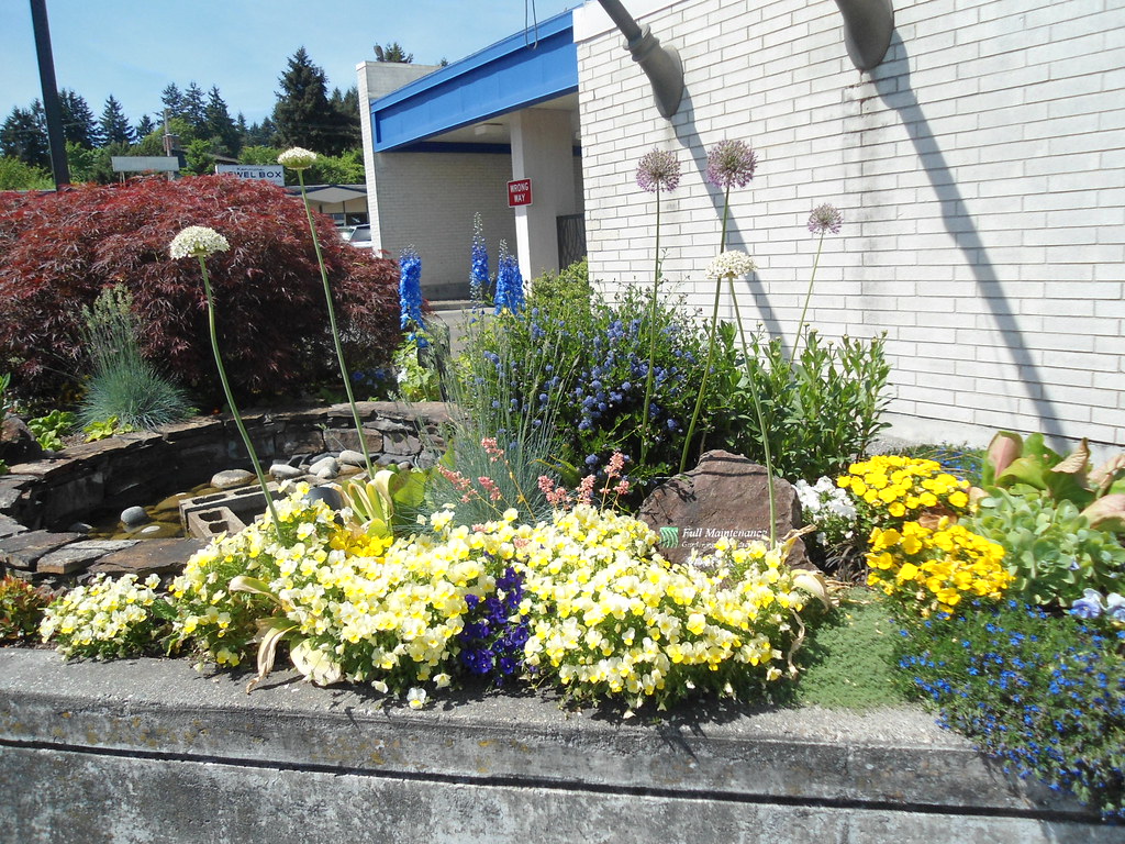 Post Office Garden at Kenmore WA Post Office PatricksMercy Flickr