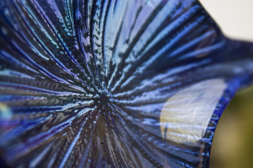 Project 4 Shot 2 Canon EOS Rebel T3i 55mm ISO 800 Shutte… Flickr