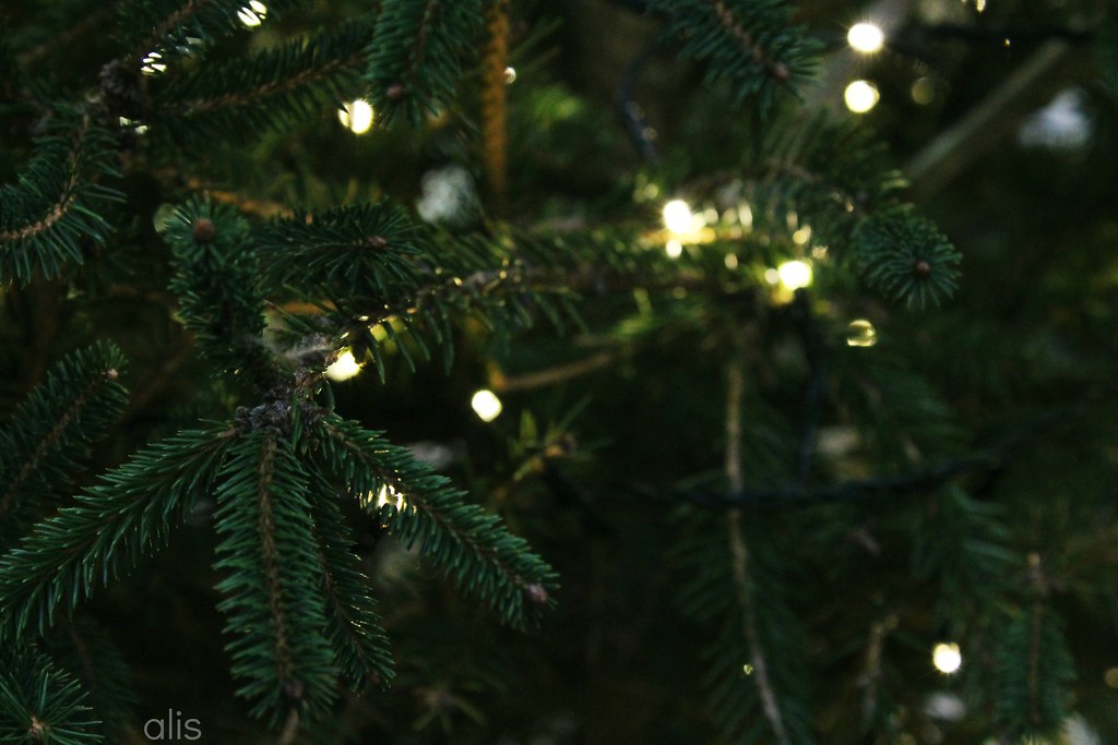 Christmas tree Canon EOS 1100D Alis In Wonderland Totaro Flickr