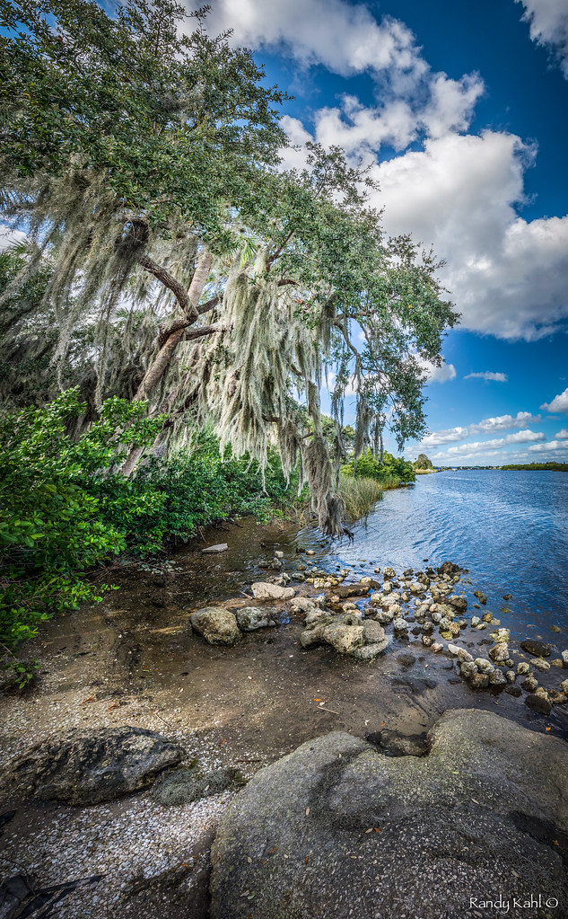 Peace River in Punta Gorda, FL Along the Harbour Heights n… Flickr