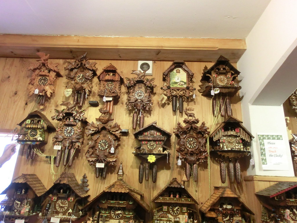 German Cuckoo Clock Nest, Tamborine Mountain Tamborine Mou… Flickr