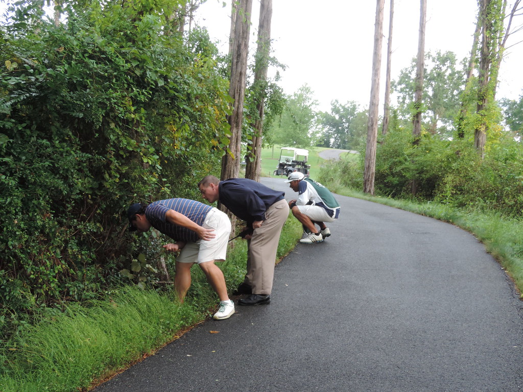 Lost ball 12th fairway NJSGA1900 Flickr