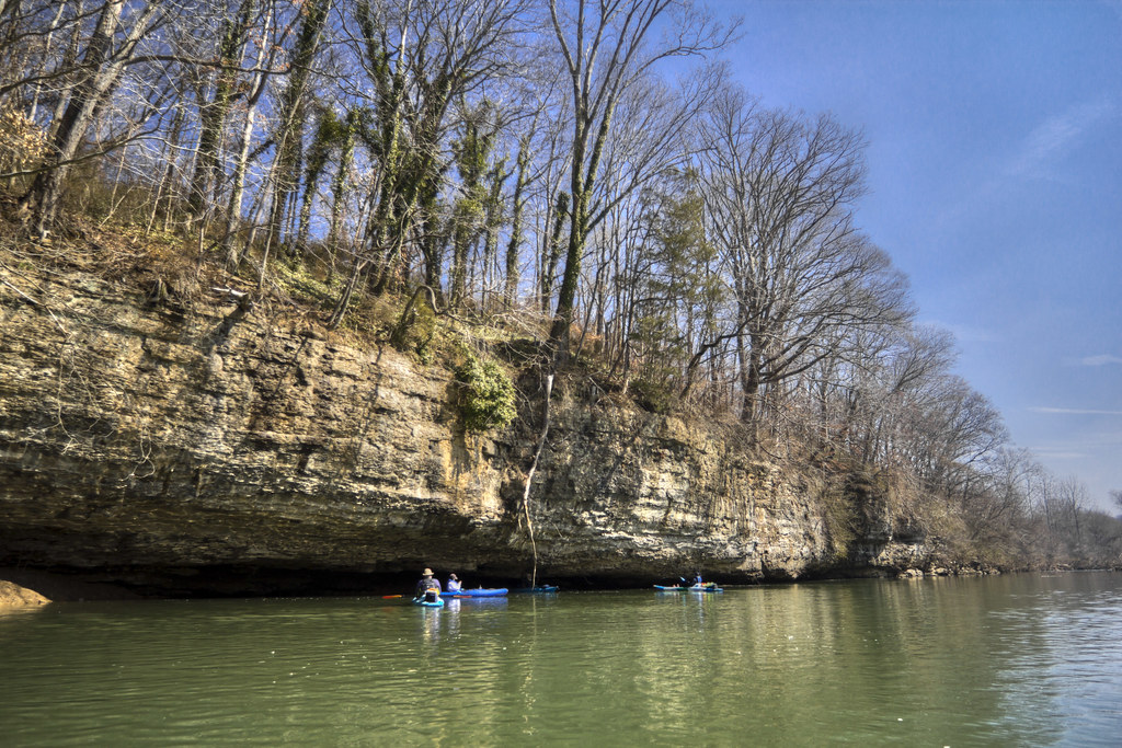 St. Louis Limestone outcrop, Barren Fork River, Warren County