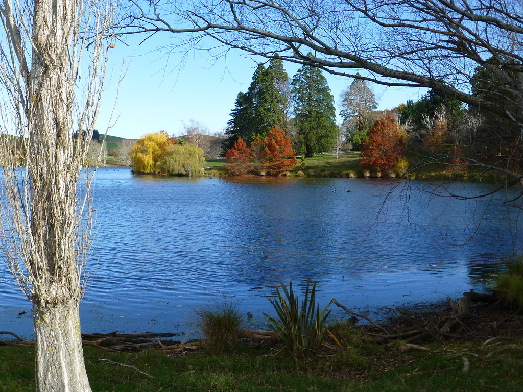 St Annes Lagoon, Cheviot Shells Flickr