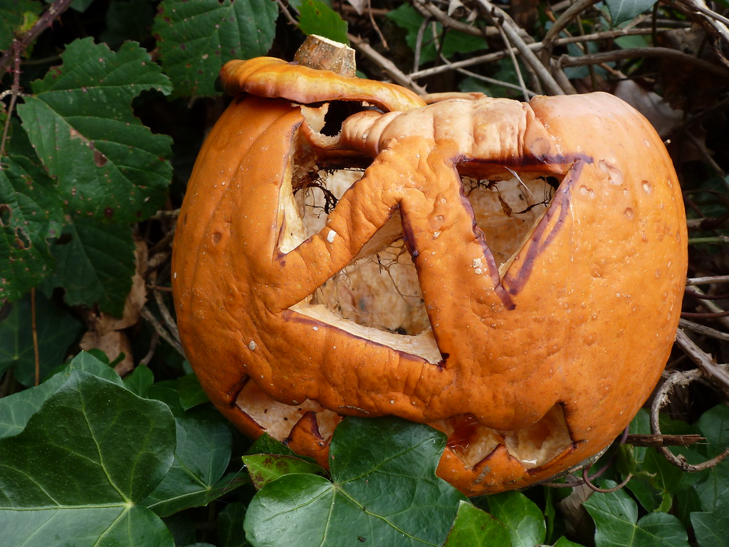 Dying days of a pumpkin... Dave Photography... Flickr