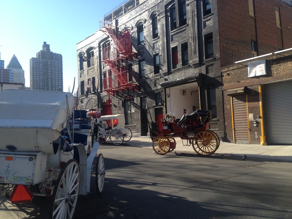 Share the road Carriage house on Manhattan's west side. oinonio