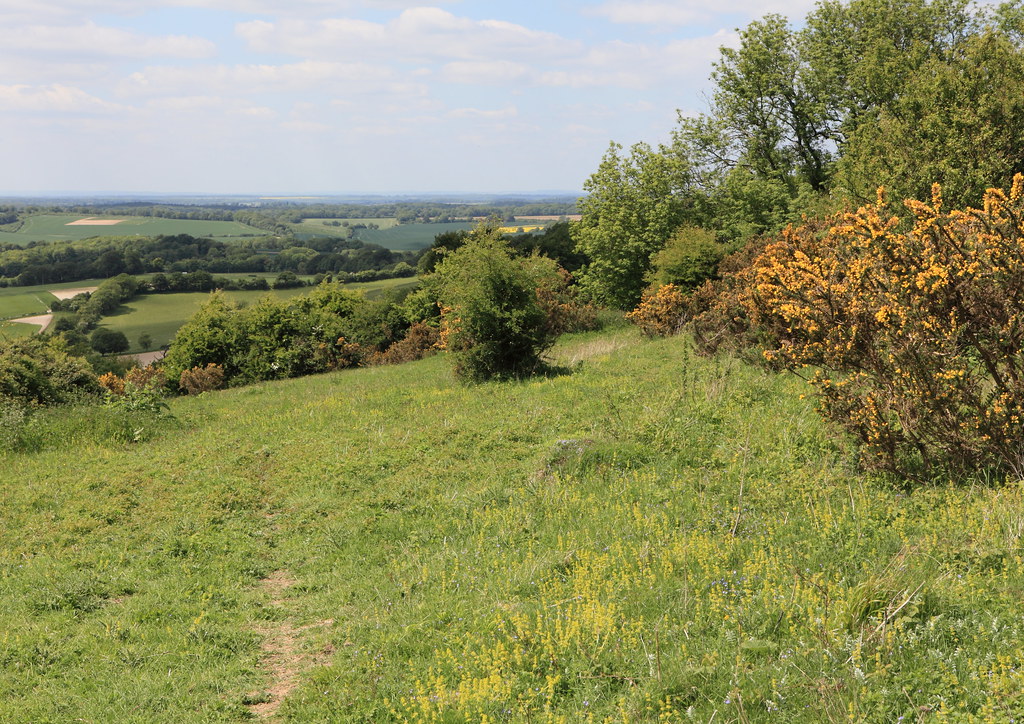 Old Winchester Hill Old Winchester Hill martin_swatton Flickr