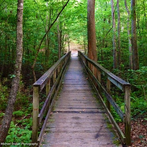 Elevation of Bayou Darbonne Dr, West Monroe, LA, USA Topographic Map