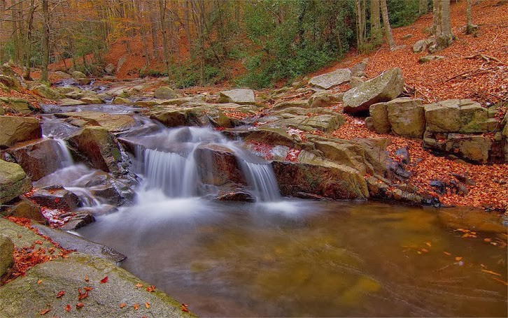 Las Mejores Imagenes Del Mundo Paisajes Cascadas Mariposas