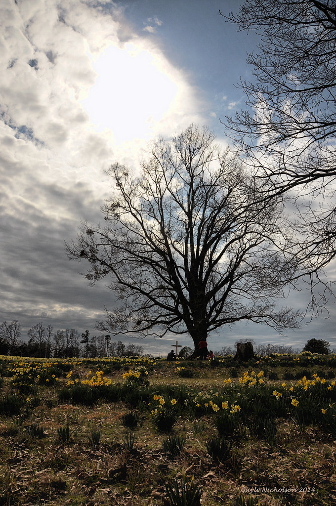 Good Friday Wye Mountain Gayle Nicholson Flickr