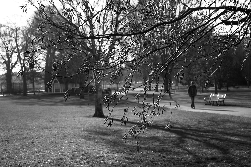 Preston Park Early Spring steve geliot Flickr