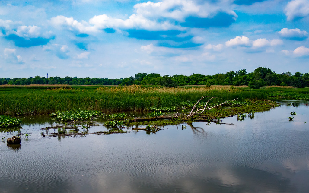 Elevation of 21 Maple Leaf Dr, Mullica Hill, NJ, USA Topographic Map