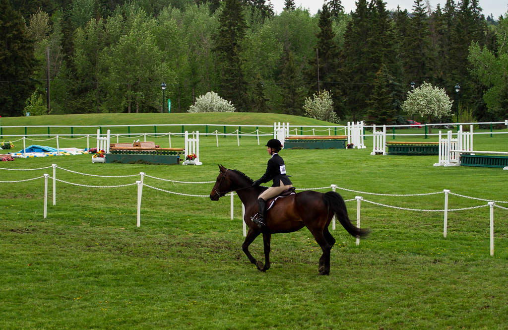 Edmonton Horse Show Flickr